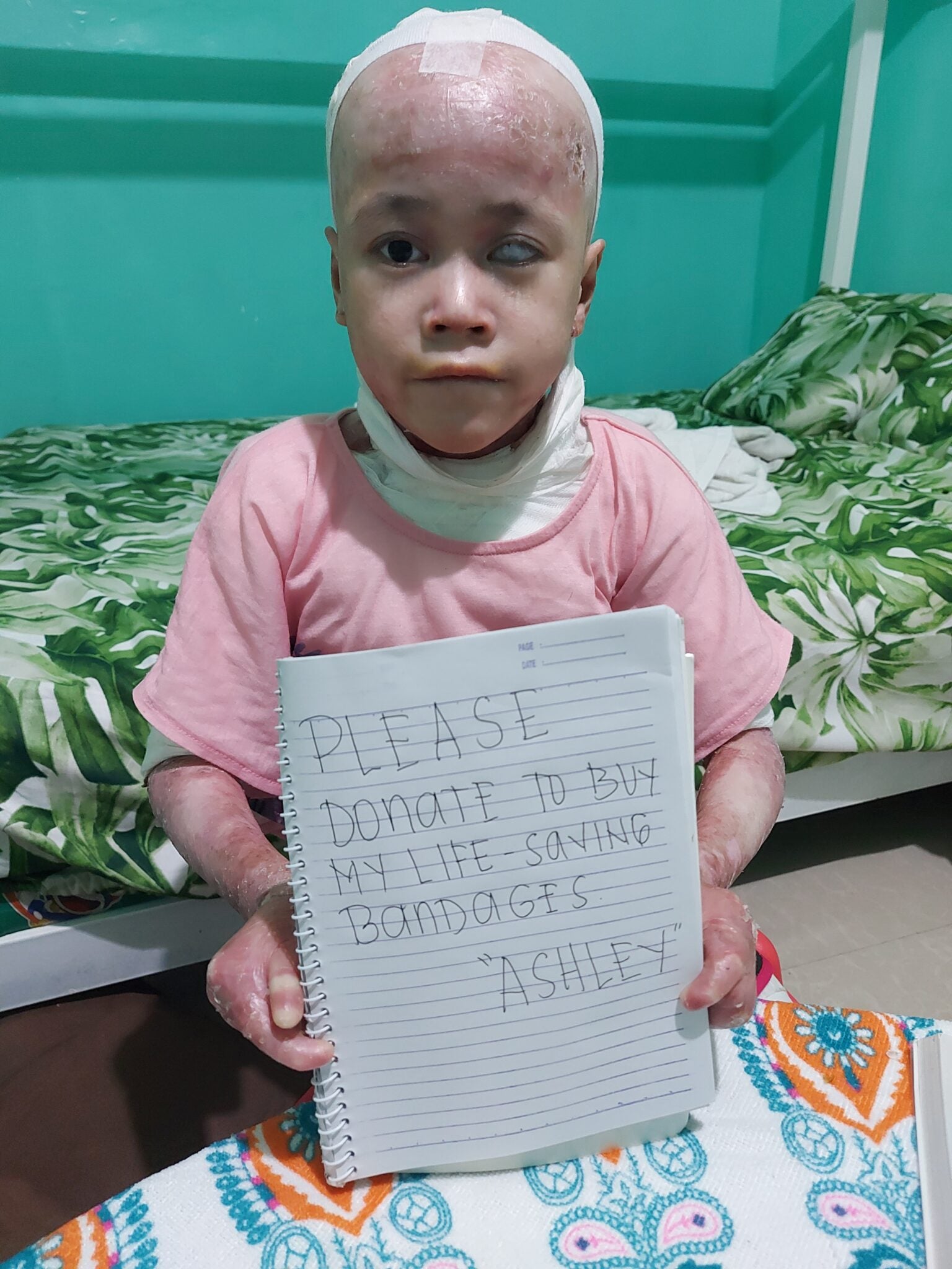 Donate_Now_Baby-Hong-compressed